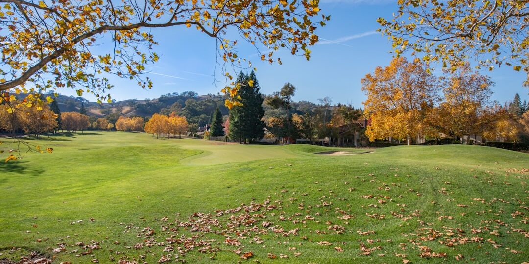 Photo alumni reunion