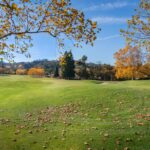 Photo alumni reunion